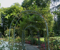 Rose garden in Karlsruhe / Germany