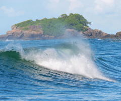 Waves
