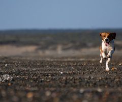 Walking at the beach 