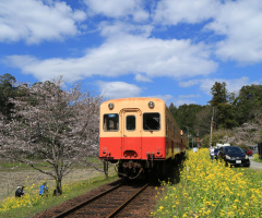 Spring