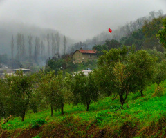 Akçapınar Köyü - MKPaşa