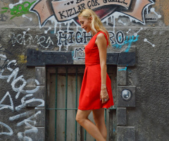 model
