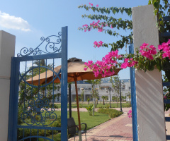 Egypt - Ismaillia  - gate