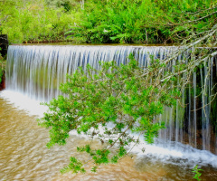 Cachoeira