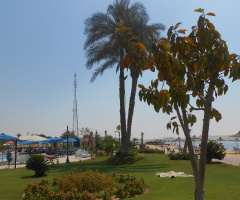 Egypt - Ismaillia 