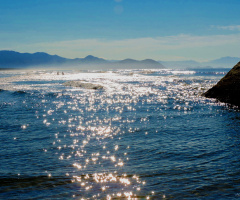 Sunshine
