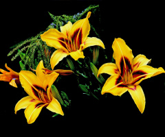 BLÜTEN