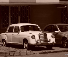 Miniciks hayatlar  Mercedes Phonton