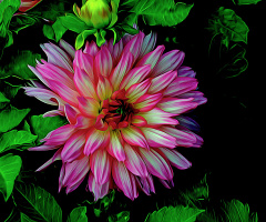 BLÜTE