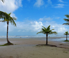 Boracéia beach