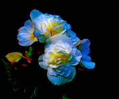 BLÜTEN