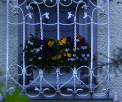 Nice window decorations