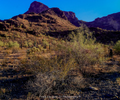 Picacho Peak In Arizona USA