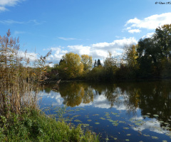 Saumseen nature reserve, Karlsruhe / Germany 