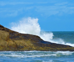 Waves