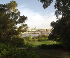 Egypt  - Aswan  
