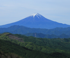 Mt.Fuji