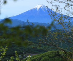 Mt.Fuji
