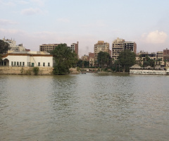 Egypt  - Cairo  - NILE RIVER  