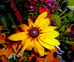 BLÜTE
