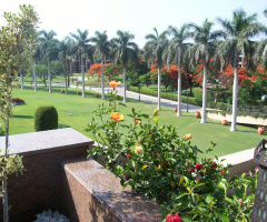 Egypt  - Cairo  