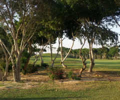 Egypt  - Cairo   