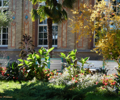 Botanical Garden, Karlsruhe / Germany