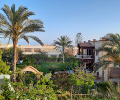 Egypt  - Alexandria - North Coast