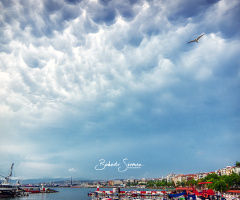 Tekirdağ