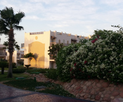 Egypt  - Sharm Alsheikh