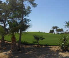 Egypt  - Alain alsokhna 