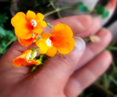 For You
