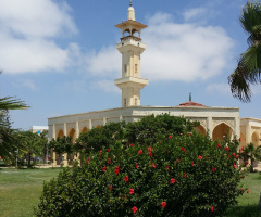 Egypt  - Cairo   -  North coast 