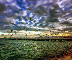 Tekirdağ