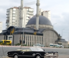 Miniciks Hayatlar Oldsmobile