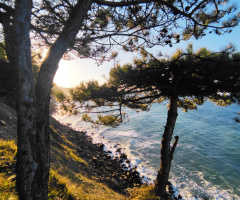 Karadeniz