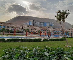 Egypt  - Alain alsokhna 