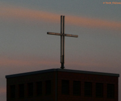 in the evening