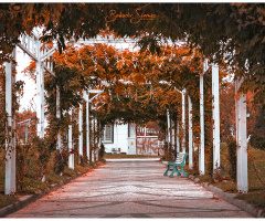 Tekirdağ
