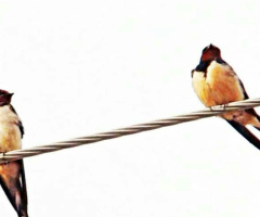 Have a headache AGAIN? 