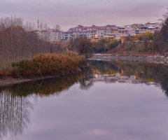 MKPaşa Çayı