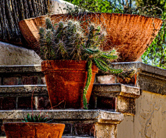 RUSTIC PLANTERS