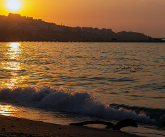 Tekirdağ