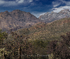 Snow On The Mountain