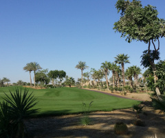Egypt - Alain Alsokhna 
