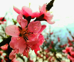 Celebrating the Spring ❤️