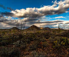 Winter Arizona Sunset