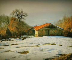 KIŞ