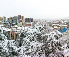 Bursa