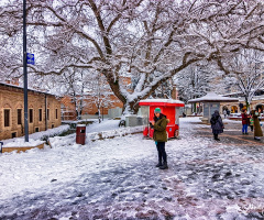 Bursa